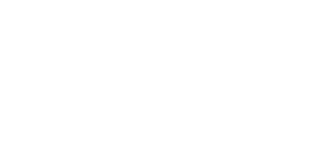 Surf Aviators