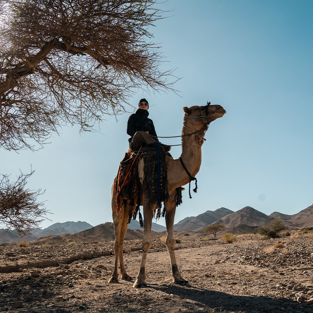 Heron Desert